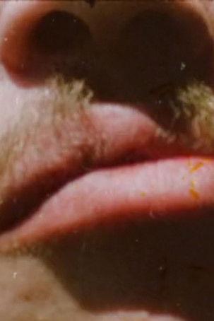 Invocations of Canyons and Boulders (for Stan Brakhage) film afişi