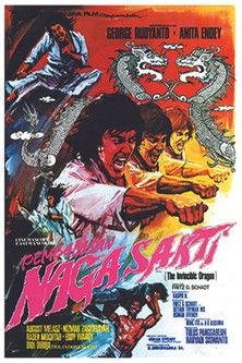 Pembalasan Naga Sakti film afişi