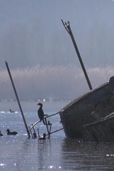 Colors of Prespa: Birds film afişi