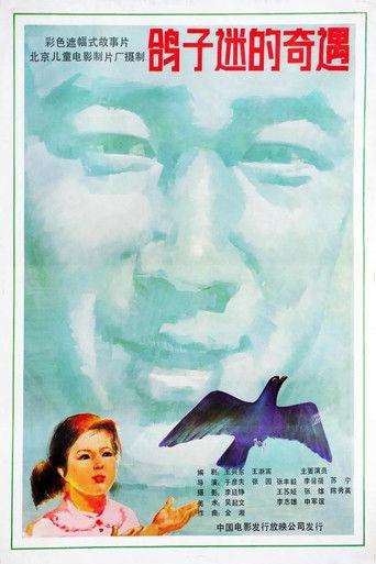 鸽子迷的奇遇 film afişi