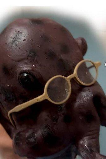 Nipple Hot Springs: The Octopus' Gratitude film afişi