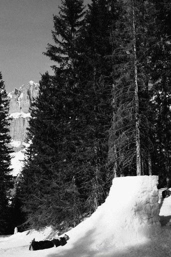 Maneuvers film afişi