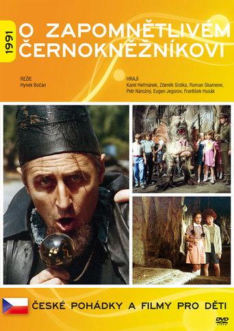 O zapomnětlivém černokněžníkovi film afişi