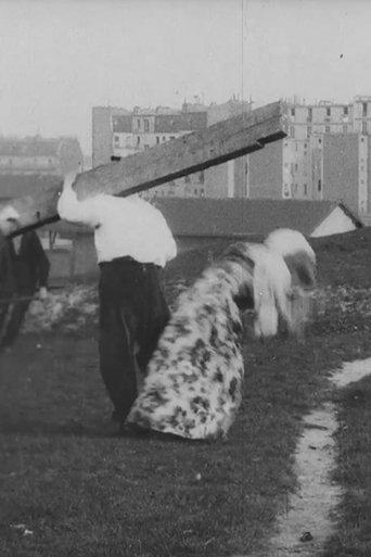 Le charpentier maladroit film afişi