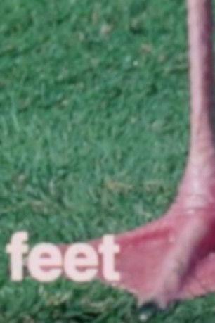 What Are Letters For? film afişi