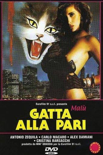 Gatta alla pari film afişi
