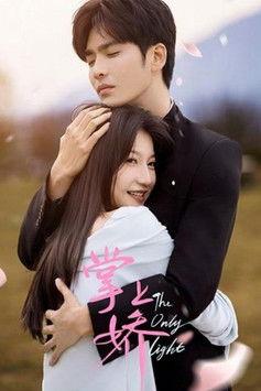 The Only Light dizi afişi