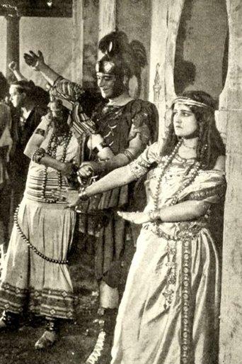 The Illumination film afişi