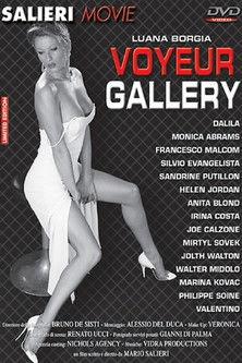 Voyeurs film afişi