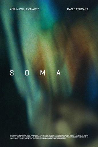 Soma film afişi