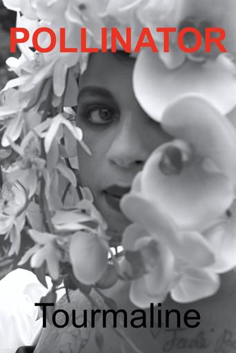 Pollinator film afişi