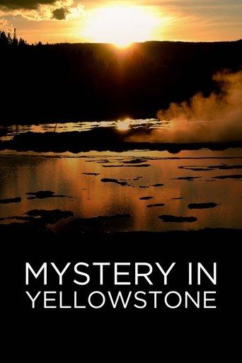 Mystery in Yellowstone film afişi