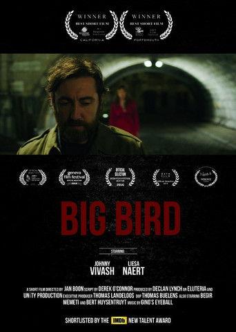 Big Bird film afişi
