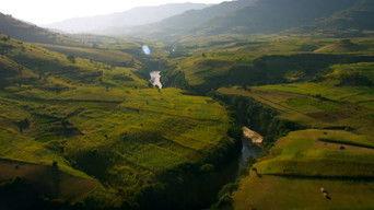 Lifeline in the Desert