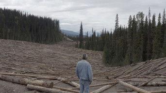 First Nations in Canada Leading Climate Change Resistance