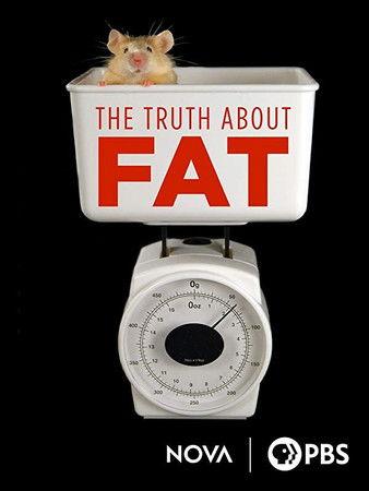 The Truth About Fat film afişi