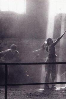 Vertigo Bird film afişi