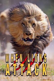When Lions Attack film afişi