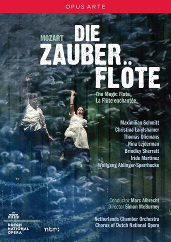 Mozart: The Magic Flute film afişi