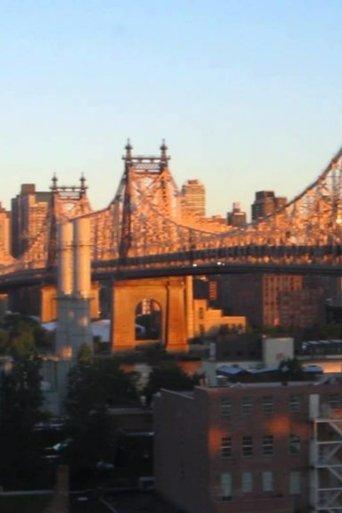 Light and the City film afişi