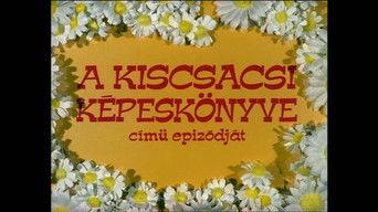 A kiscsacsi képeskönyve