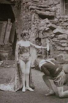 The Magic Flute film afişi