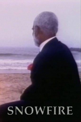 Snowfire film afişi