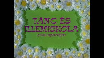 Tánc és illem iskola