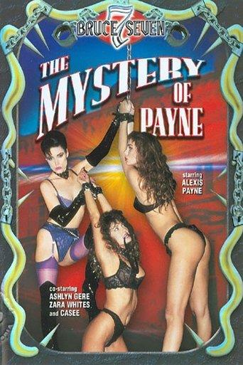 Mystery of Payne film afişi