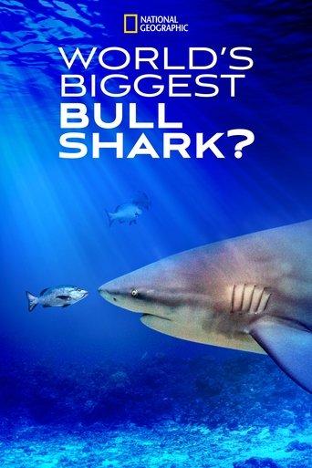 World's Biggest Bull Shark? film afişi