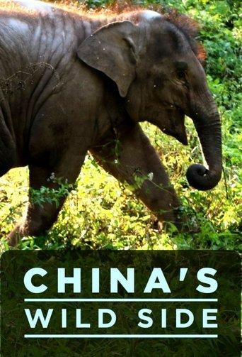 China's Wild Side dizi afişi