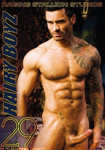 Hairy Boyz 29 film afişi