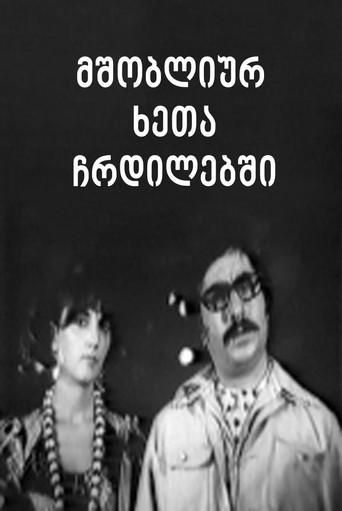 Spring On A Roadside film afişi