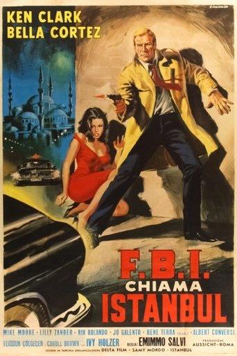 F.B.I. chiama Istanbul film afişi