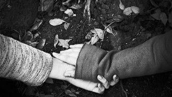 Wondering and Wandering