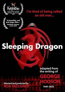 Sleeping Dragon film afişi