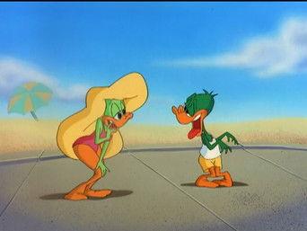 Spring Break Special