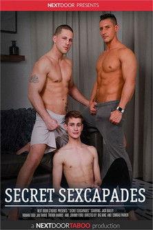 Secret Sexcapades film afişi