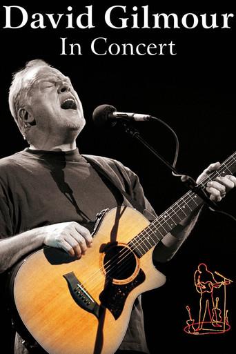 David Gilmour: In Concert film afişi