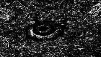 THE MISSING EYE OF JESUS CHRIST