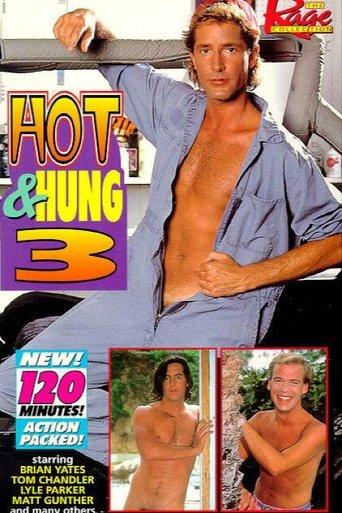 Hot & Hung 3 film afişi