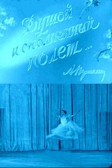 When the Spirit Soars in Flight film afişi