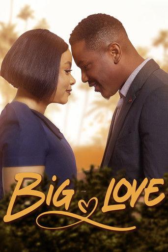 Big Love film afişi