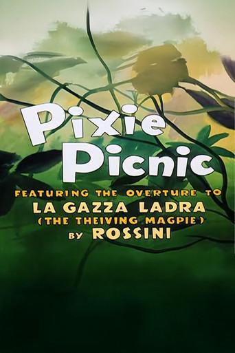 Pixie Picnic film afişi