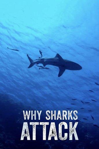 Why Sharks Attack film afişi
