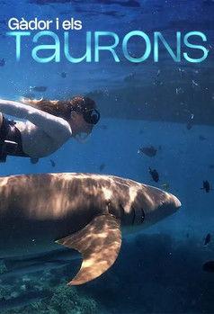 Gàdor i els taurons film afişi