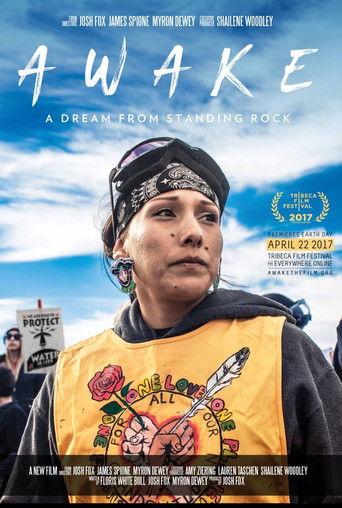 Awake, a Dream from Standing Rock film afişi