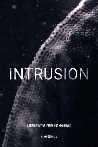Intrusion film afişi