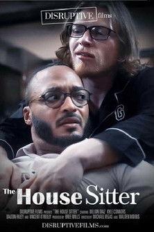 House Sitter film afişi