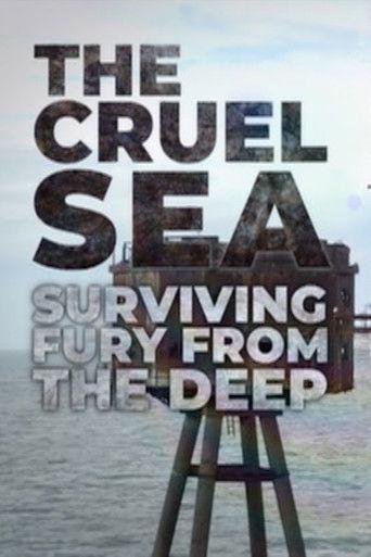 The Cruel Sea - Surviving Fury from the Deep film afişi